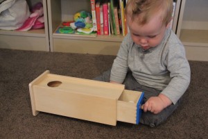 Desperate Senior Puts ‘Object Permanence’ on his Resume