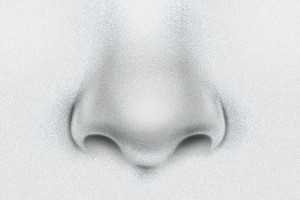 Cornell “EARS” offers new “NOSES” Program for Students in Need of Someone to Smell Them