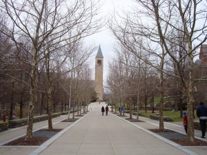 Study: Ho Plaza Eye Contact Found to Be Deadly