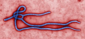 Officials: “Ebola No Threat To Cornell, Oh Shit We Just Jinxed It Didn’t We”