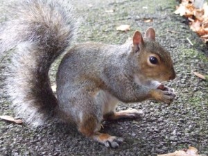 OP-ED: I’m Not Afraid of You, Punk.