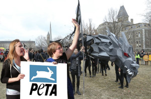 Animals Rights Groups Protest Dragon Day Over Alleged Dragon Abuse