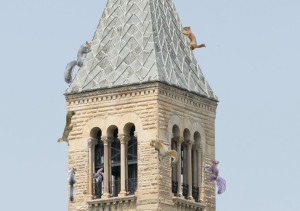 Squirrel Watching Club Neglects Duties as Squirrels Rampage Through Campus