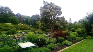 OP-ED: See? We Changed the Name of the Plantations and Fixed On-Campus Racism!