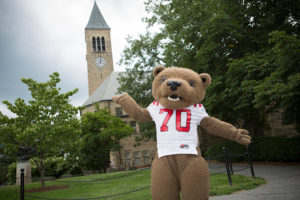 Cornell Unwilling to Comment on Whether or Not Touchdown the Bear Has Sex