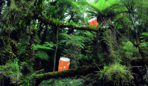 Five Missing in Amazon After Latest IFC Jungle Juice Gathering Expedition