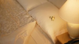 Wistful Hotelie Leaves Mint on Parents Pillow Every Night