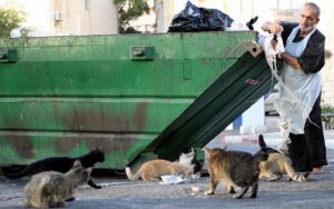 Cornell’s Stray Cats Enter Week Three Of Vicious Turf War Over D.P. Dough Dumpster