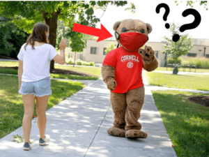 Nooz Explains: 161 Simple Cornell Mask Guidelines