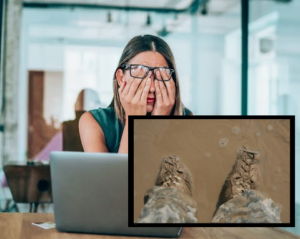 OP-ED: Have You Ever Even Heard of Trench Foot? Of Course My Shoes Being Wet Is A Valid Reason to Ask for An Extension