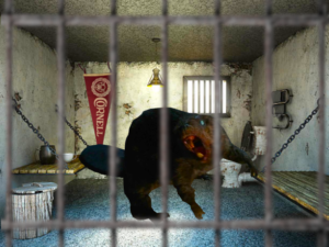 Hypocrites? Rabid Beaver Not Feeling Free Nor Indispensable