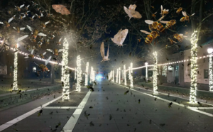 Campus Bugs Rejoice, Gather At Ho Plaza Light Fixtures