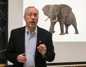 University Establishes Tusk Force to Buy a Bunch of Really Cool Elephants