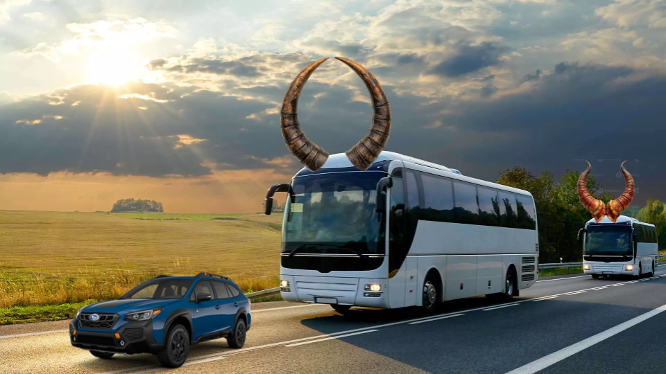 Stampeding OurBus Herd Crushes Unsuspecting Subaru
