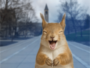 Frolicking Squirrel Thinks It’s Funny You Bombed That Prelim