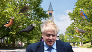 Nest-less Campus Birds Seen Eagerly Eyeing Boris Johnson’s Hair