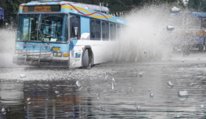 Dank Puddle Reaches Critical Mass Seconds Before TCAT Plows Through